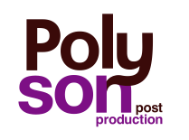 logo Polyson