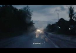 The last shore – 2024